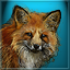Alaskan Adventures Gamerpic Alaskan Adventures Gamerpic