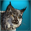 Alaskan Adventures Gamerpic Alaskan Adventures Gamerpic