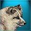 Alaskan Adventures Gamerpic Alaskan Adventures Gamerpic