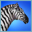 Cabela's Safari Gamerpic Cabela's Safari Gamerpic