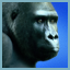Cabela's Safari Gamerpic Cabela's Safari Gamerpic