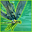 Rapala Tournament Gamerpic Rapala Tournament Gamerpic