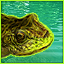 Rapala Tournament Gamerpic Rapala Tournament Gamerpic