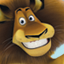 Madagascar 2 Gamerpic Madagascar 2 Gamerpic