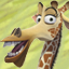 Madagascar 2 Gamerpic Madagascar 2 Gamerpic