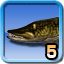 Icon for Fish Collector