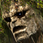 Kingdom Under Fire: Circle of Doom Gamerpic Kingdom Under Fire: Circle of Doom Gamerpic