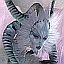Kingdom Under Fire: Circle of Doom Gamerpic Kingdom Under Fire: Circle of Doom Gamerpic