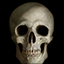 Disruptive Publishers Themes and Pics Gamerpic Disruptive Publishers Themes and Pics Gamerpic
