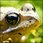 Disruptive Publishers Themes and Pics Gamerpic Disruptive Publishers Themes and Pics Gamerpic