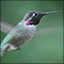 Disruptive Publishers Themes and Pics Gamerpic Disruptive Publishers Themes and Pics Gamerpic