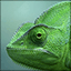 Disruptive Publishers Themes and Pics Gamerpic Disruptive Publishers Themes and Pics Gamerpic