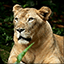 Disruptive Publishers Themes and Pics Gamerpic Disruptive Publishers Themes and Pics Gamerpic