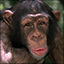 Disruptive Publishers Themes and Pics Gamerpic Disruptive Publishers Themes and Pics Gamerpic