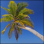 Disruptive Publishers Themes and Pics Gamerpic Disruptive Publishers Themes and Pics Gamerpic