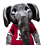NCAA® Football 07 Gamerpic NCAA® Football 07 Gamerpic
