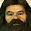 Harry Potter OOTP Gamerpic