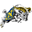 NCAA® Football 09 Gamerpic