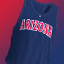 NCAA® Basketball 09 Gamerpic NCAA® Basketball 09 Gamerpic