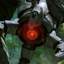 OXM360