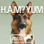 Major League Gaming Gamerpic Major League Gaming Gamerpic