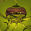 Nick Busby Gamerpic Nick Busby Gamerpic
