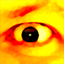 Nick Busby Gamerpic Nick Busby Gamerpic