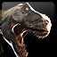 Tomb Raider: Anniv. Gamerpic Tomb Raider: Anniv. Gamerpic