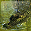 Tomb Raider: Anniv. Gamerpic Tomb Raider: Anniv. Gamerpic