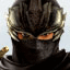 Ninja Gaiden 2 Gamerpic Ninja Gaiden 2 Gamerpic