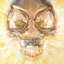 Indiana Jones Gamerpic Indiana Jones Gamerpic