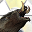 Duke Nukem Forever Gamerpic Duke Nukem Forever Gamerpic