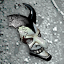 BioShock 2 Gamerpic