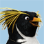 Surf's Up Gamerpic Surf's Up Gamerpic