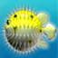 Feeding Frenzy Gamerpic Feeding Frenzy Gamerpic