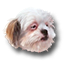 Wits & Wagers Gamerpic Wits & Wagers Gamerpic