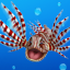 Sealife Safari Gamerpic Sealife Safari Gamerpic