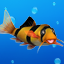 Sealife Safari Gamerpic Sealife Safari Gamerpic