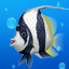 Sealife Safari Gamerpic Sealife Safari Gamerpic