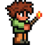 Terraria – Xbox 360 Edition Gamerpic