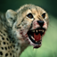 National Geographic Gamerpic National Geographic Gamerpic