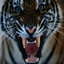 National Geographic Gamerpic National Geographic Gamerpic