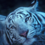 National Geographic Gamerpic National Geographic Gamerpic