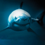Shark Week 20th Anniversary Gamerpic Shark Week 20th Anniversary Gamerpic