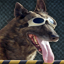 Air Force Gamerpic Air Force Gamerpic