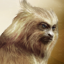 Golden Compass Gamerpic Golden Compass Gamerpic