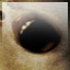 One Missed Call Gamerpic One Missed Call Gamerpic