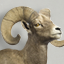 Stride Gamerpic Stride Gamerpic