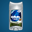 Gillette Champions of Gaming Gamerpic