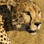 Discovery Life Gamerpic Discovery Life Gamerpic
